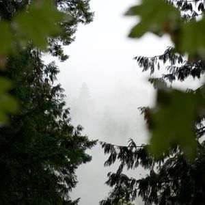 Meet your Posher, Renjith